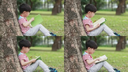 孩子们在公园里读书高清在线视频素材下载