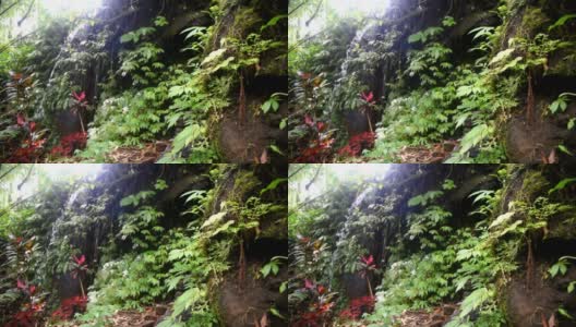 小瀑布和在Babahan村在印尼巴厘岛的Tabanan摄政，与光滑的清澈的水高清在线视频素材下载