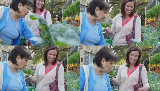 一位成熟的西班牙女性和一位中年白人女性在露天农贸市场谈论绿叶植物高清在线视频素材下载