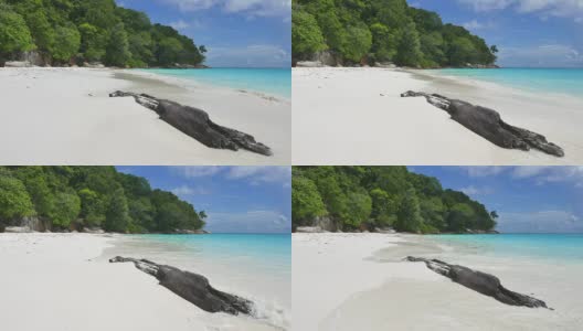 HD岛状海滩高清在线视频素材下载