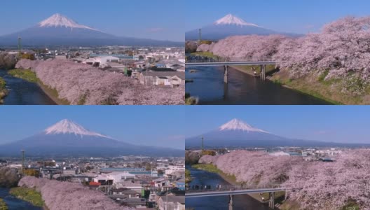 日本静冈县的富士山和樱花景观。高清在线视频素材下载
