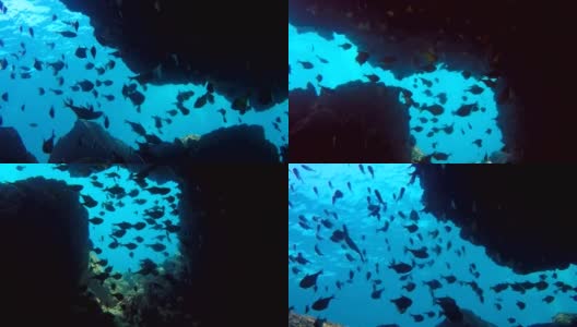 水下深海洞穴，“烟囱”，科哈，甲米，泰国高清在线视频素材下载