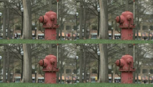草地上的城市消火栓高清在线视频素材下载