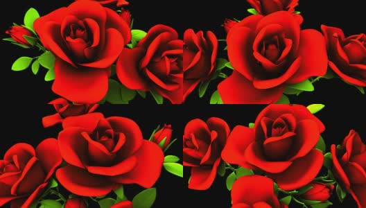 黑色背景下的红玫瑰花束高清在线视频素材下载