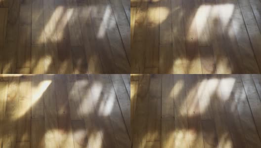客厅4k视频中木质地板与随风移动的窗帘的阴影高清在线视频素材下载