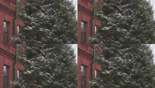 老红砖建筑附近的雪树18 19世纪的冬天白天下雪。俄罗斯帝国时期最古老的旅馆或旅舍为游客提供的是暴风雪、恶劣天气高清在线视频素材下载