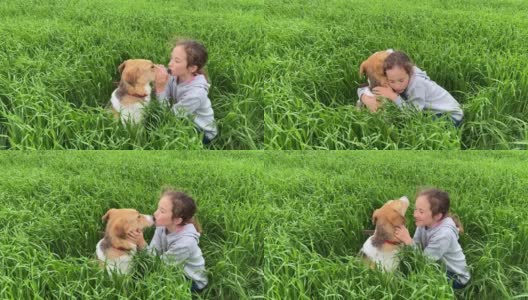 4k小可爱的女孩亲吻和拥抱她的狗在绿色的高草地上。高清在线视频素材下载