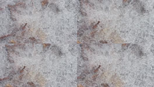 破碎的冰纹理与冰冻的秋叶，特写，慢镜头高清在线视频素材下载