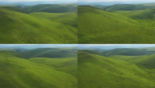 俯视图在绿色的田野。无人机拍摄的绿色山丘高清在线视频素材下载