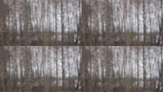 模糊，散焦视频的大雪在森林。美丽的冬季景观，雪和模糊的树木背景。轻轻飘落的雪花。树枝下的雪。坏雪天气寒冷的一天。高清在线视频素材下载