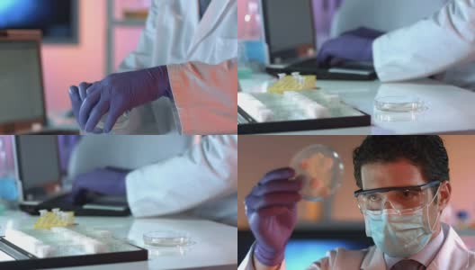 HD DOLLY:研究细菌培养的科学家高清在线视频素材下载