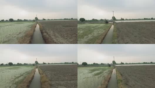 用于灌溉的水渠高清在线视频素材下载