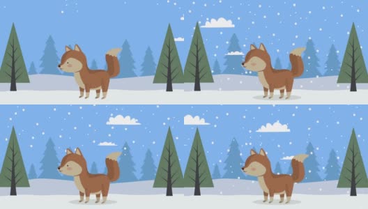 狐狸在雪景冬季高清在线视频素材下载