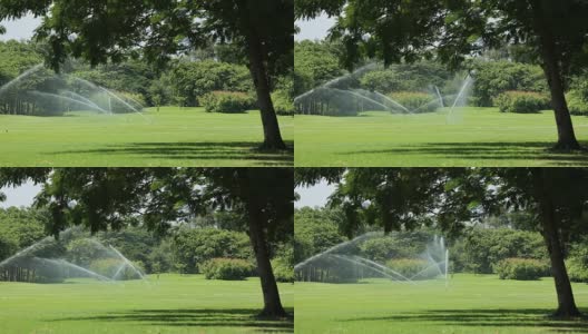 洒水喷头在花园高清在线视频素材下载