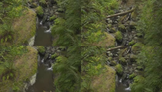 Miller Creek的向下倾斜镜头高清在线视频素材下载