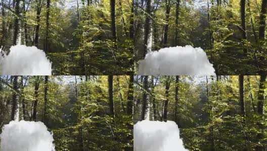 春天的水来自秋天的森林高清在线视频素材下载