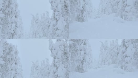 雪山森林里的雪高清在线视频素材下载