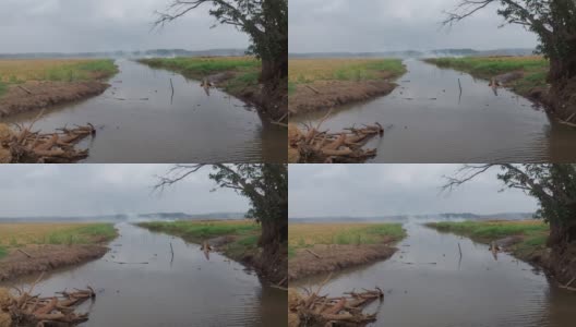 从喀拉拉邦可以看到流过稻田的河流高清在线视频素材下载