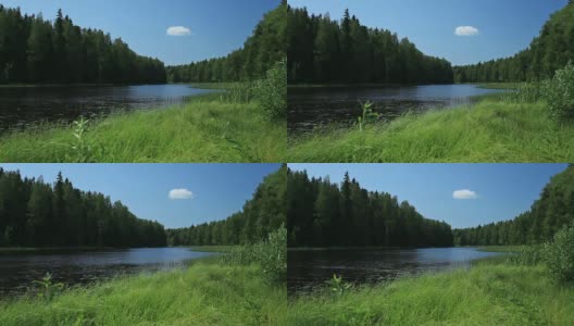 河在森林高清在线视频素材下载