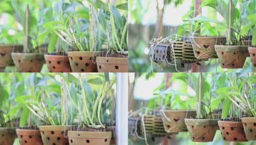 HD PANNING:木制花盆高清在线视频素材下载
