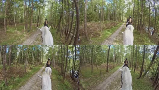 POV骑着白马穿过美丽的森林高清在线视频素材下载