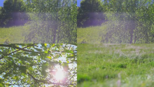 安道尔的春天大草原高清在线视频素材下载
