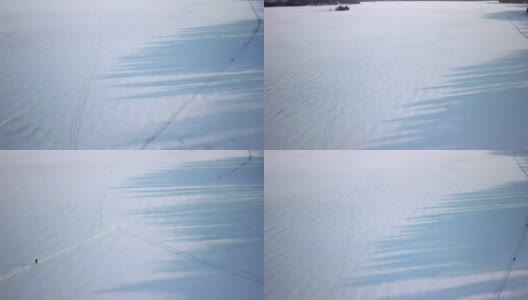 在芬兰，高大树木的影子映在地上的白雪上高清在线视频素材下载