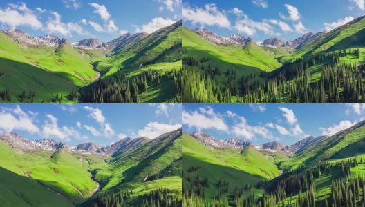 航拍新疆的绿色草原和夏季山脉高清在线视频素材下载