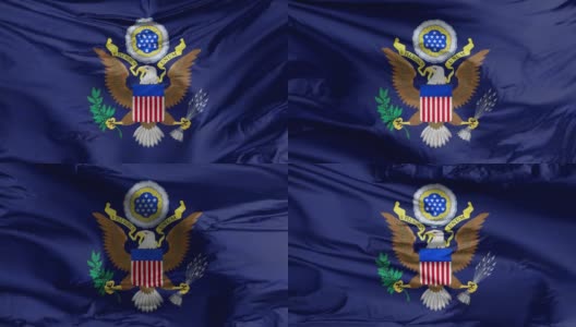 飘扬的美国国玺的旗帜，美国的主要国家象征。高清在线视频素材下载