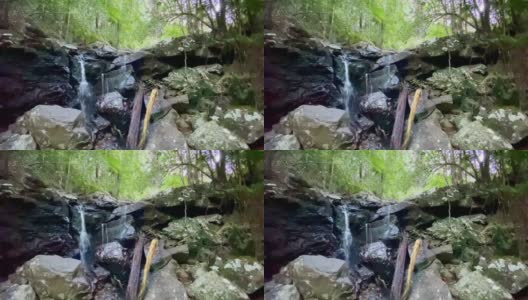 Huonbrook Valley Rainforest Creek瀑布高清在线视频素材下载