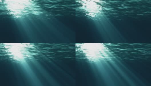 海洋水下Loopable高清在线视频素材下载