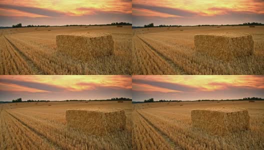 日落时分小麦捆的美丽抓拍高清在线视频素材下载