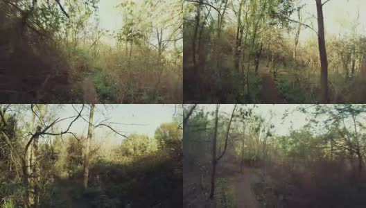 视角POV山地车在森林中快速骑行高清在线视频素材下载