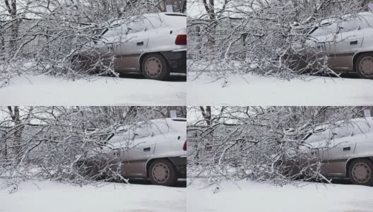 汽车在倒下的树在冬天高清在线视频素材下载