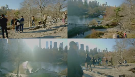 一名男子在纽约中央公园散步高清在线视频素材下载