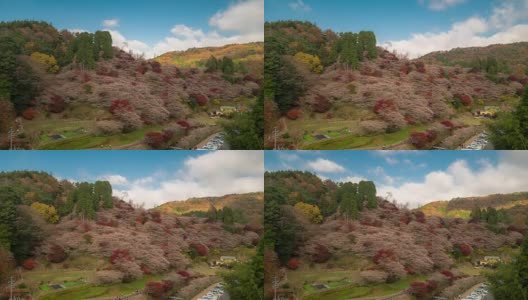 延时:小原樱与秋红叶离开日本丰田名古屋高清在线视频素材下载