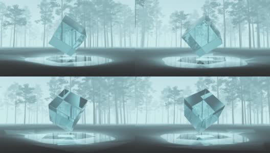 抽象旋转透明立方体在松林。高清在线视频素材下载