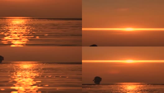 倾斜拍摄的落日在海滩的反射_4k_v高清在线视频素材下载