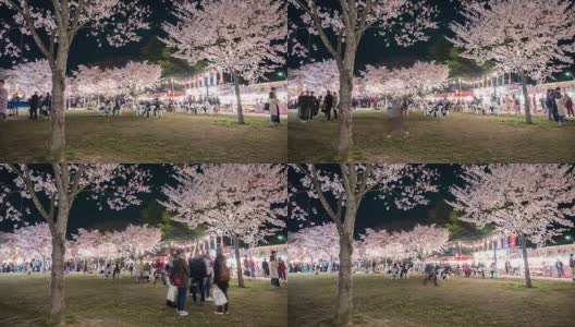 4k:人们在仙台公园里欣赏樱花高清在线视频素材下载