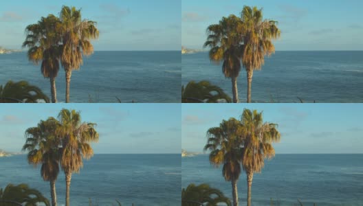 日落时，加利福尼亚南部太平洋海岸社区的棕榈树。高清在线视频素材下载