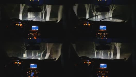 在夜晚驾车穿过森林高清在线视频素材下载