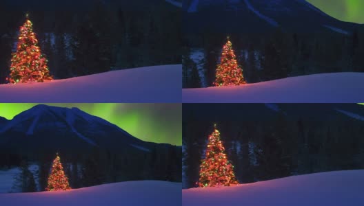 圣诞树在北极光下发光高清在线视频素材下载