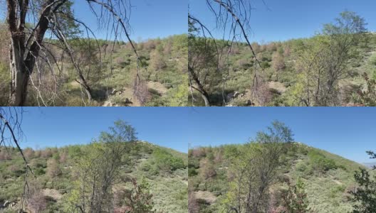 缓慢移动的全景镜头穿过山脉和林地高清在线视频素材下载