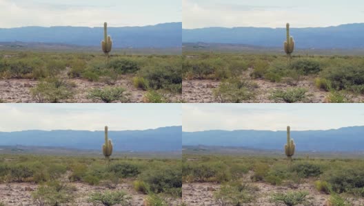半沙漠山地景观，前景有仙人掌高清在线视频素材下载