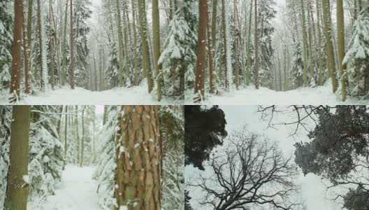 冬天的风景高清在线视频素材下载