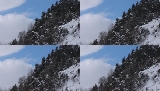 日本森林的雪冬，自然风光高清在线视频素材下载