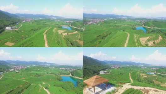 鸟瞰杭州龙井山茶园。高清在线视频素材下载