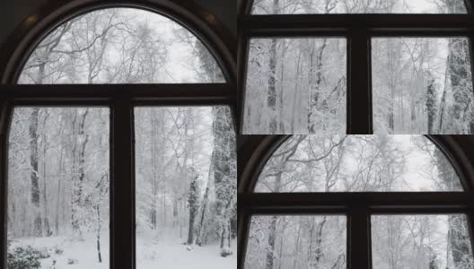 雪树通过圆头窗口高清在线视频素材下载