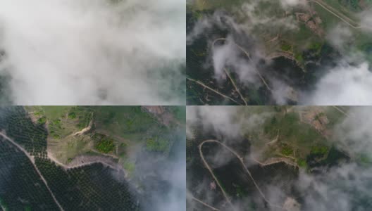 放大到云经过的森林边缘，无人机镜头，oe01高清在线视频素材下载