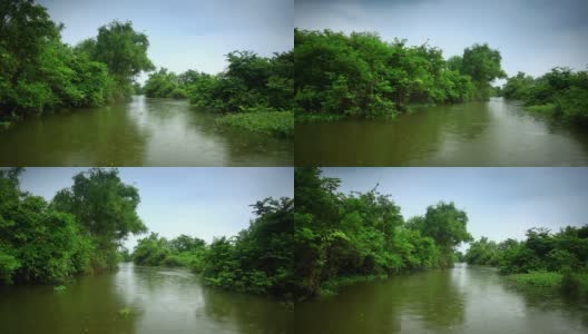 雨中的湿地高清在线视频素材下载